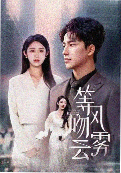 长夜回声剧集封面